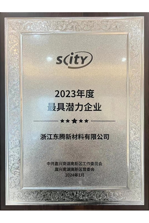 2023年度最具潛力企業(yè)